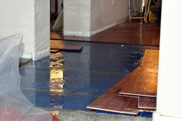 Professional Basement Flooding technician working in Burlington, IL